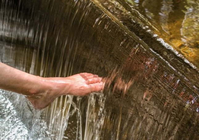 艾葉泡腳的方法-用艾草泡腳時(shí)，要記住禁忌哪些，很多人不懂，總是泡錯(cuò)？